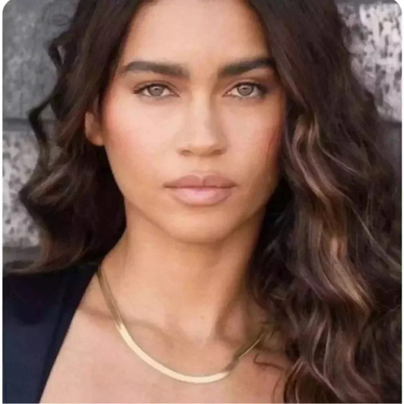 Jennifer Zeuner Jewelry - Jennifer Zeuner Flat Hamilton Necklace Gold Plated Designer Revolve Boho Vermeil